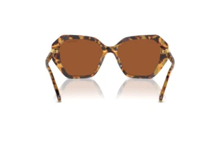 Vue arrière Swarovski SK6017 (100473)