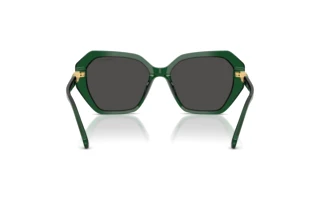 Vue arrière Swarovski SK6017 (104587)