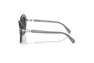 Vue latérale Swarovski SK6017 (106211)