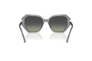 Vue arrière Swarovski SK6017 (106211)