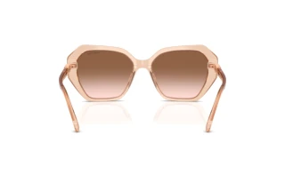 Vue arrière Swarovski SK6017 (106313)