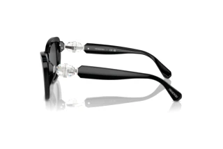 Vue latérale Swarovski SK6018 (100187)