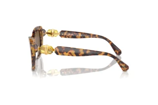 Vue latérale Swarovski SK6018 (104073)