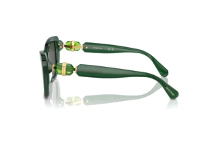 Vue latérale Swarovski SK6018 (104587)