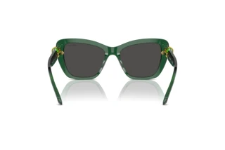 Vue arrière Swarovski SK6018 (104587)