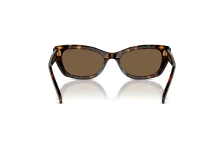 Vue arrière Swarovski SK6019 (100273)