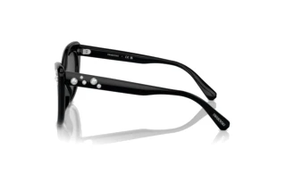 Vue latérale Swarovski SK6020 (100187)