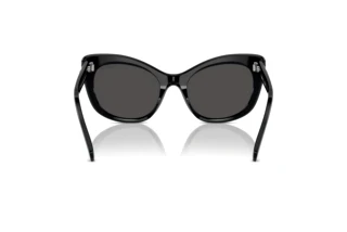 Vue arrière Swarovski SK6020 (100187)