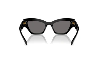 Vue arrière Swarovski SK6021 (100181)