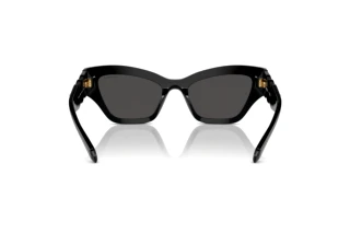 Vue arrière Swarovski SK6021 (100187)