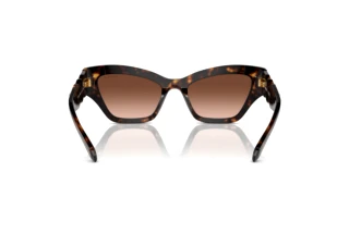 Vue arrière Swarovski SK6021 (10023B)