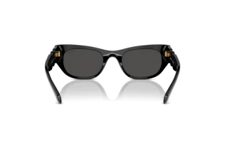 Vue arrière Swarovski SK6022 (100187)