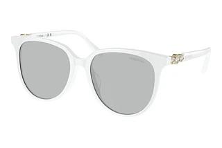 Swarovski SK6023D 103387