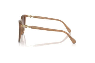 Vue latérale Swarovski SK6023D (200213)