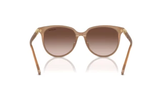 Vue arrière Swarovski SK6023D (200213)