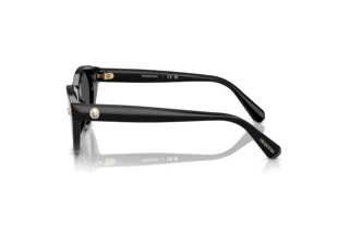 Vue latérale Swarovski SK6025 (100187)