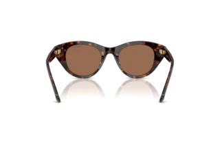 Vue arrière Swarovski SK6025 (100273)