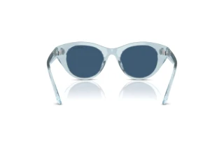 Vue arrière Swarovski SK6025 (106555)