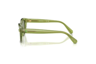 Vue latérale Swarovski SK6025 (3002/2)