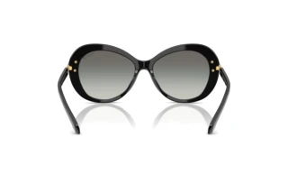 Vue arrière Swarovski SK6026 (100111)