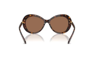 Vue arrière Swarovski SK6026 (100273)