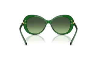 Vue arrière Swarovski SK6026 (10642A)