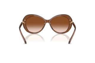 Vue arrière Swarovski SK6026 (106713)