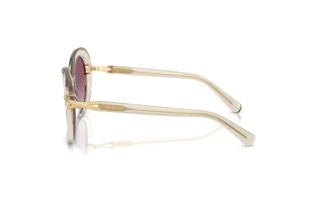 Vue latérale Swarovski SK6026 (30038H)