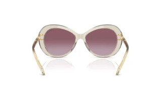 Vue arrière Swarovski SK6026 (30038H)