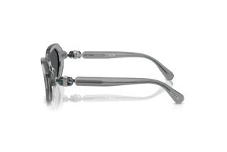 Vue latérale Swarovski SK6028 (10626G)