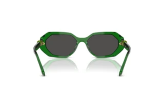 Vue arrière Swarovski SK6028 (106487)