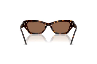 Vue arrière Swarovski SK6029 (100273)