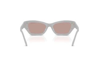 Vue arrière Swarovski SK6029 (10317N)