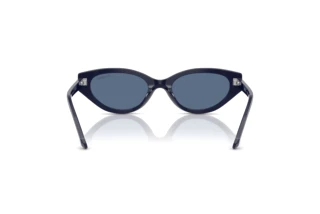 Vue arrière Swarovski SK6030 (100455)