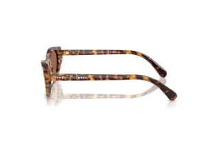 Vue latérale Swarovski SK6030 (104073)