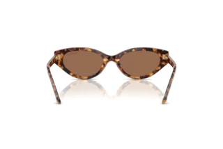 Vue arrière Swarovski SK6030 (104073)