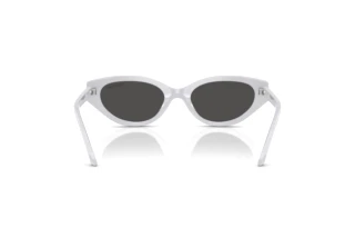 Vue arrière Swarovski SK6030 (106087)