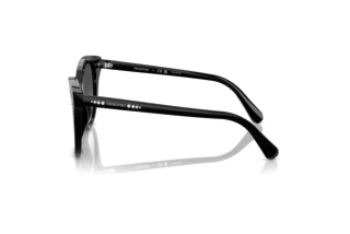 Vue latérale Swarovski SK6031 (1001T3)