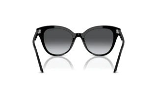 Vue arrière Swarovski SK6031 (1001T3)