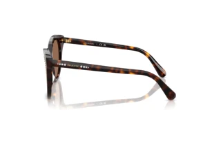 Vue latérale Swarovski SK6031 (100273)