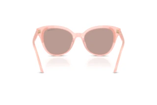 Vue arrière Swarovski SK6031 (10317N)