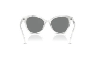 Vue arrière Swarovski SK6031 (104287)