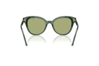 Vue arrière Swarovski SK6031 (104382)