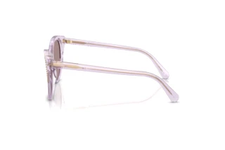 Vue latérale Swarovski SK6031 (1079LA)