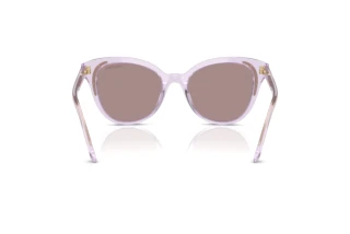 Vue arrière Swarovski SK6031 (1079LA)