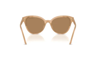 Vue arrière Swarovski SK6031 (2002M4)