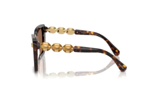 Vue latérale Swarovski SK6032 (100273)