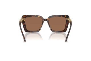 Vue arrière Swarovski SK6032 (100273)