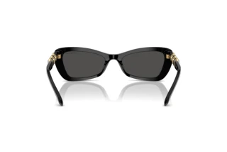 Vue arrière Swarovski SK6033 (100187)