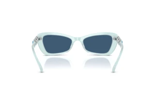 Vue arrière Swarovski SK6033 (102455)